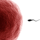 Illustration for article titled Why Sperm Donors Say They're Parents And Egg Donors Don't